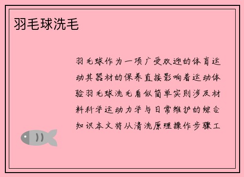 羽毛球洗毛